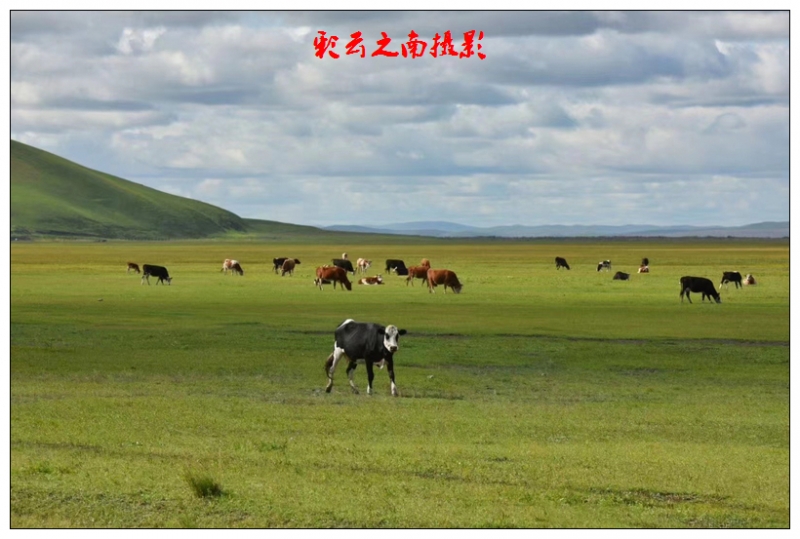 nEO_IMG_微信图片_20250803101820 - 副本.jpg