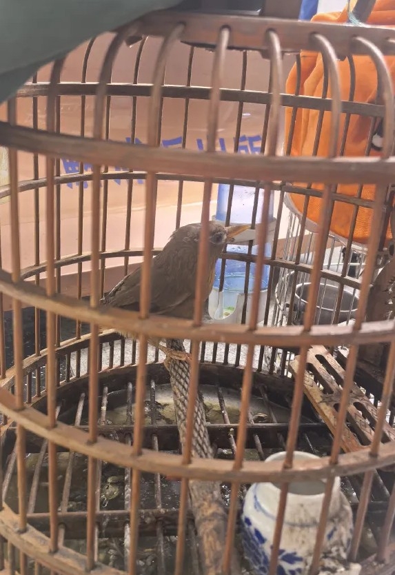 640 (3)_WPS图片.jpg