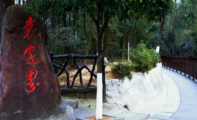 【光影瞬间】游张家界随拍