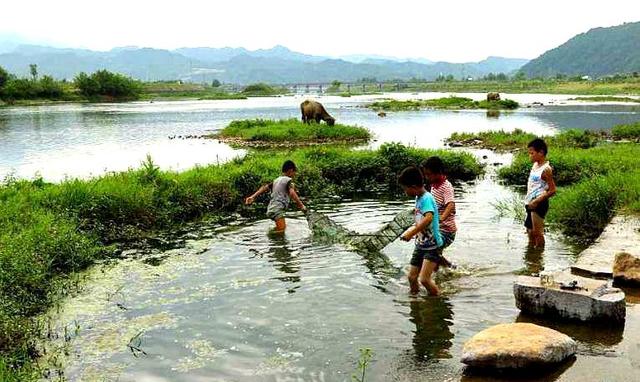 《故乡纪事》系列之三：逮鱼